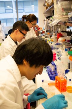 Iliev Lab