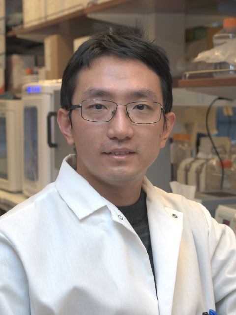 CJ Guo