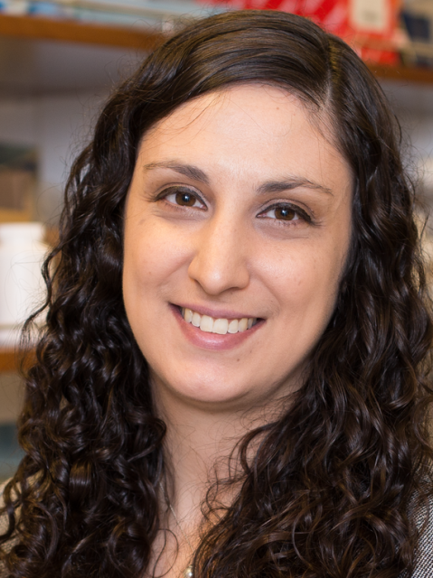 Laurel Monticelli